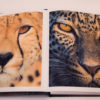 display of pages of African safari animals photo book